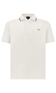 Поло из хлопка