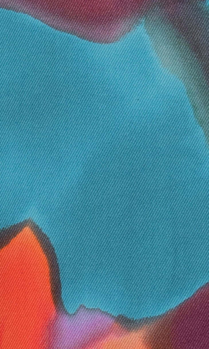 LUISA CERANO: Брюки с принтом