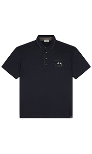 Поло с логотипом