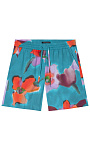LUISA CERANO: Шорты с принтом