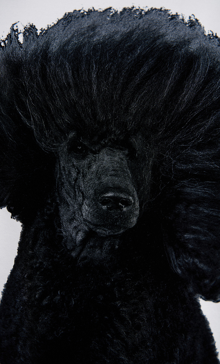 HUGO BOSS: Футболка с принтом