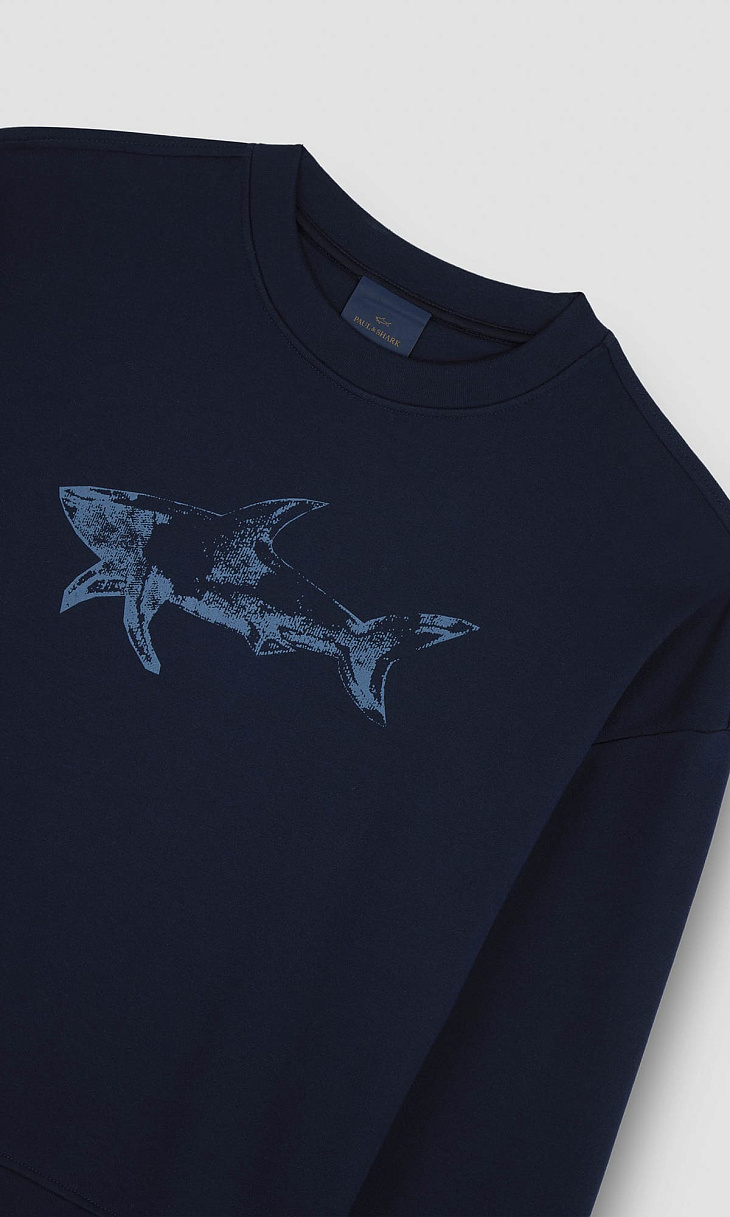 Paul Shark: Толстовка с принтом